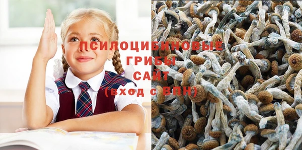 спайс Арсеньев