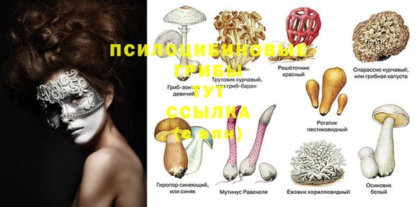 Альфа ПВП Алексин